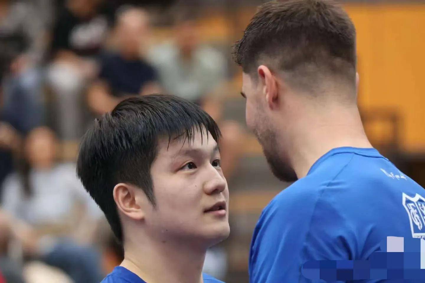 成都蓉城足球最新消息今天最新消息